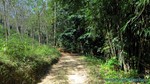 Thailand2013-0378.jpg