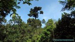 Thailand2013-0379.jpg