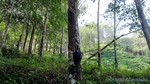 Thailand2013-0381.jpg