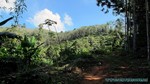 Thailand2013-0383.jpg