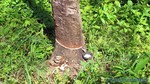 Thailand2013-0386.jpg