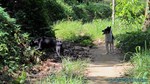 Thailand2013-0388.jpg