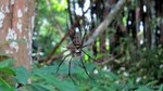 Thailand2013-0389.jpg