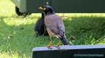 Thailand2013-0390.jpg