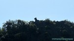 Thailand2013-0423.jpg