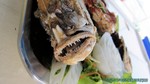 Thailand2013-0431.jpg
