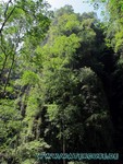 Thailand2013-0437.jpg