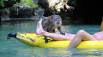Thailand2013-0453.jpg