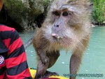 Thailand2013-0455.jpg