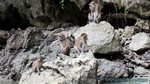 Thailand2013-0460.jpg