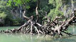 Thailand2013-0466.jpg