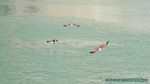 Thailand2013-0470.jpg