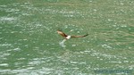 Thailand2013-0471.jpg