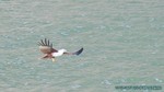 Thailand2013-0472.jpg