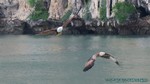 Thailand2013-0473.jpg