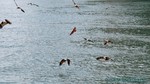 Thailand2013-0474.jpg