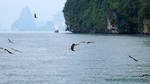 Thailand2013-0475.jpg