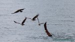 Thailand2013-0476.jpg