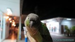 Thailand2013-0480.jpg