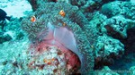 Thailand2013-0500.jpg
