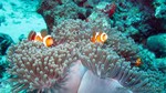 Thailand2013-0501.jpg