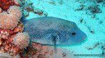 Thailand2013-0504.jpg