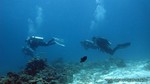 Thailand2013-0508.jpg