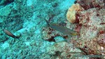 Thailand2013-0513.jpg