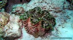 Thailand2013-0518.jpg