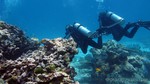 Thailand2013-0519.jpg