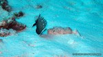 Thailand2013-0534.jpg
