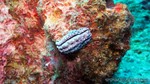 Thailand2013-0538.jpg