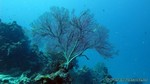 Thailand2013-0540.jpg