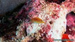Thailand2013-0541.jpg
