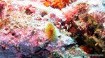 Thailand2013-0542.jpg