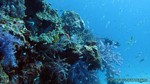 Thailand2013-0547.jpg