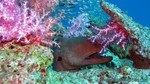 Thailand2013-0548.jpg