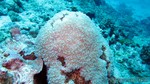Thailand2013-0566.jpg
