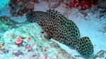 Thailand2013-0567.jpg