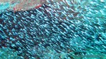 Thailand2013-0572.jpg