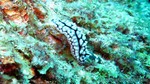 Thailand2013-0574.jpg