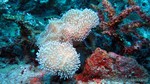 Thailand2013-0578.jpg
