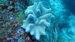 Thailand2013-0580.jpg