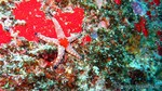 Thailand2013-0583.jpg