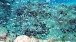 Thailand2013-0587.jpg