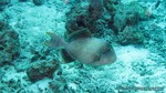 Thailand2013-0588.jpg