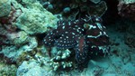 Thailand2013-0591.jpg