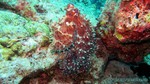 Thailand2013-0592.jpg