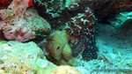 Thailand2013-0594.jpg