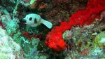 Thailand2013-0595.jpg
